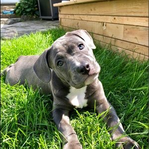 Meet your Posher, Crystal